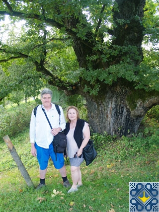 Mark and Lynda, Australia and Champion oak 1300 years old