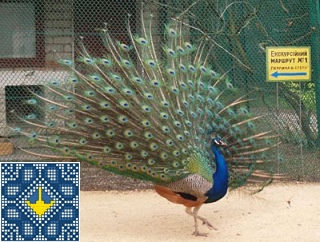 Askania Nova Sights - Zoo, Arboretum and Wild Steppes