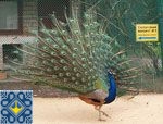 Askania Nova Sights | Zoo, Arboretum, Wild Steppes