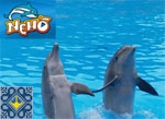 Kiev Sights | Dolphinarium Nemo | Swimming with Dolphins