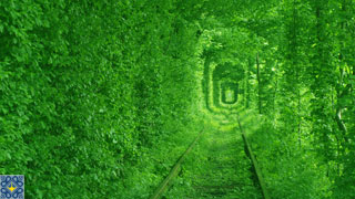 Tunnel of Love Ukraine | Klevan Sights