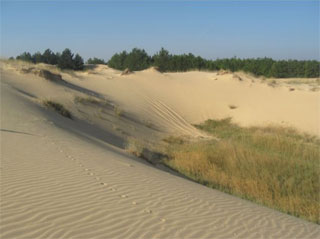 National Park Oleshky Sands reopened Eco Trail Oleshky Desert for tourists