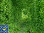 Klevan Sights | Tunnel of Love Ukraine