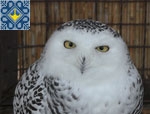 Demydiv Sights | Zoo 12 Months | Petting Zoo for Children